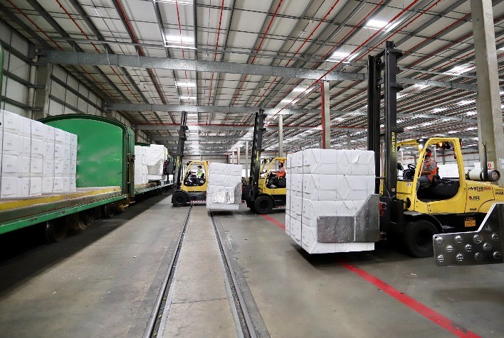 Setor Florestal Brasileiro Registra Alta na Balança Comercial no Primeiro Semestre