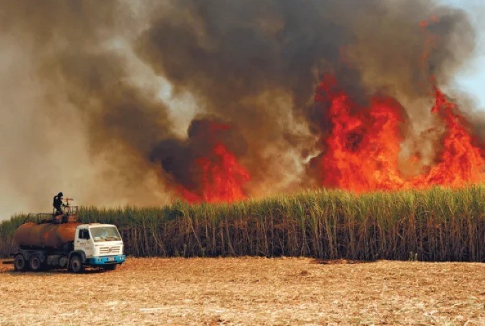 Incêndios em Canaviais Impulsionam Preços do Açúcar em Nova York