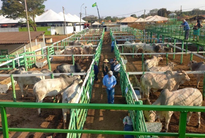 Emater Goiás e ABCZ Promovem Feira Pró-Genética em Uruana