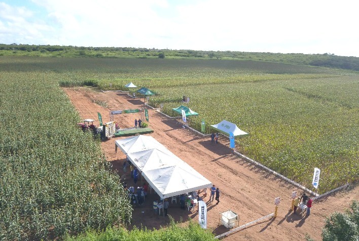 Mecanização Transforma a Vida de Pequenos Produtores no Nordeste Através do Programa Prospera