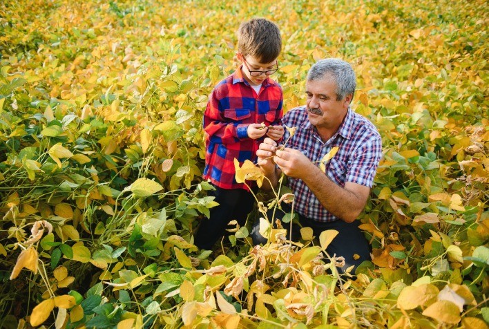 Plano Safra 2024/2025 Impulsiona Agricultura Familiar e Estimula Mercado de Máquinas Agrícolas