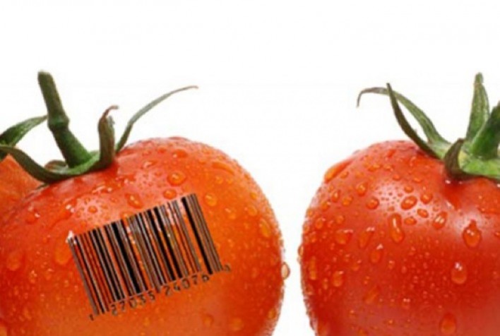 A Importância da Rastreabilidade de Produtos: Transparência e Responsabilidade na Cadeia Produtiva