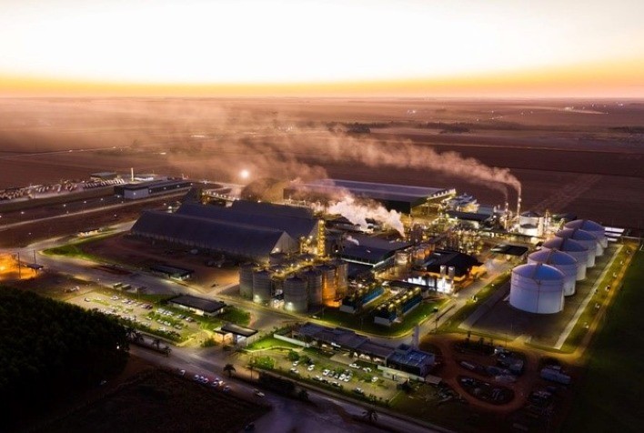 FS Registra Prejuízo de R$ 40,28 Milhões no Primeiro Trimestre da Safra 2024/25