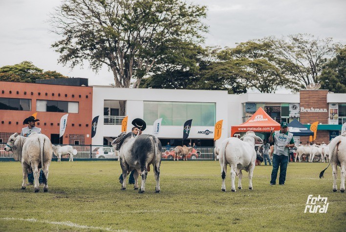 Abertas as Inscrições para a ExpoBrahman 2024