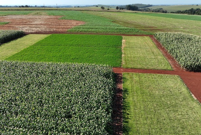 Embrapa Soja Realiza Primeiro Dia de Campo Sobre Tecnologias para Produção de Soja Baixo Carbono