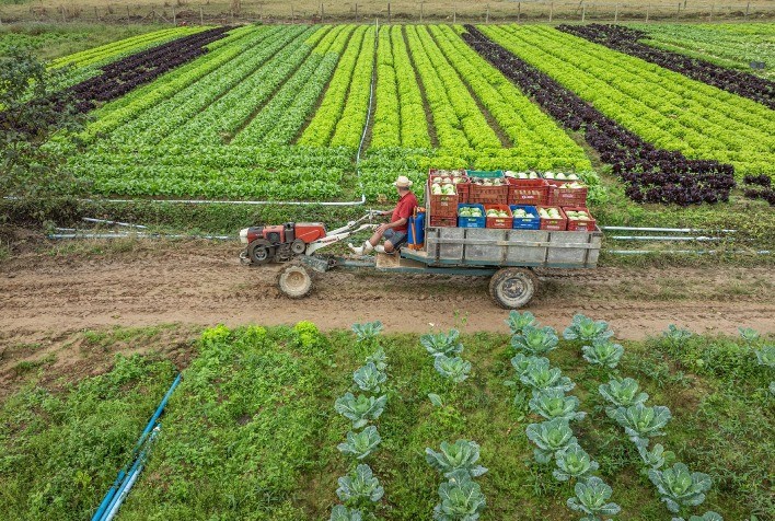 Governo do Estado Aloca Mais de R$ 40 Milhões em Agosto para Projetos de Apoio aos Produtores