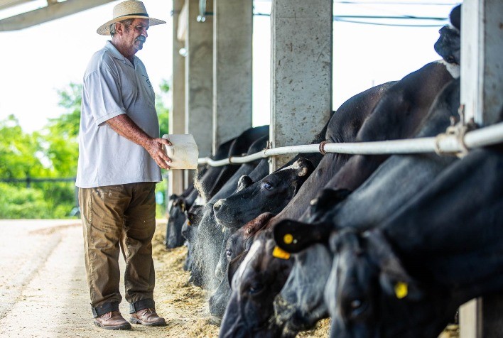 Alvoar Lácteos Inaugura Fábrica de Ração em Sergipe com Investimento de R$ 4,2 Milhões