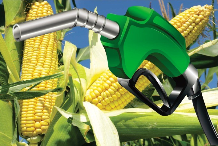 Expansão da produção de etanol leva Índia a se tornar importadora de milho, impactando o mercado global