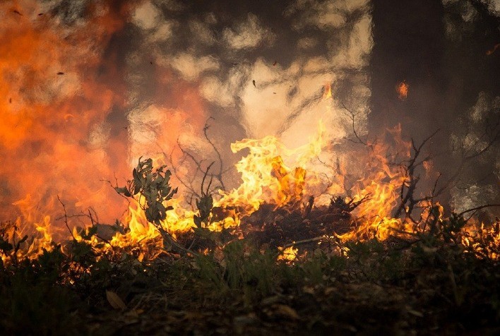 Incêndios em Minas Gerais disparam quase 80% em agosto, com mais de 400 ocorrências em 24 horas