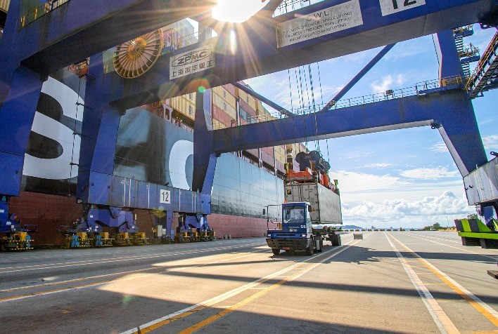 Exportações de Carne Bovina Registram Alta em Faturamento e Volume em Agosto