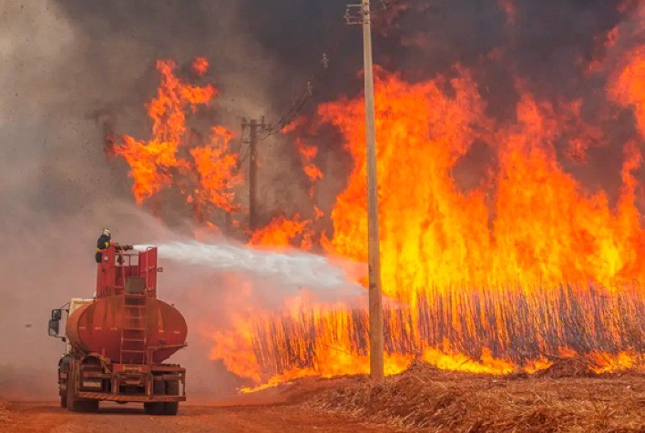 StoneX: Queimadas em agosto de 2024 devastam canaviais de São Paulo