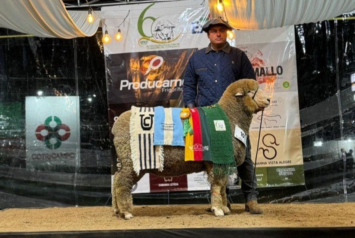 Venda de Ovinos na Expointer Alcança R$ 977 Mil e Supera Expectativas de 2023