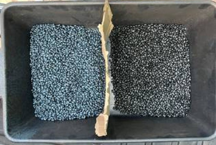 Tratamento Industrial de Sementes com Bioinsumos: Um Avanço Sustentável para a Agricultura