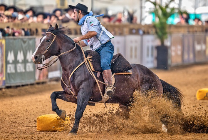 Vendas de Cavalo Crioulo na Expointer Superam R$ 16 Milhões e Batem Recorde Histórico