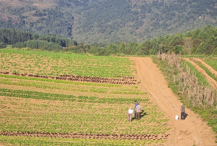 Projeto "Raízes Risotolândia" Capacita Agricultores Familiares no Paraná e Região Metropolitana de Curitiba