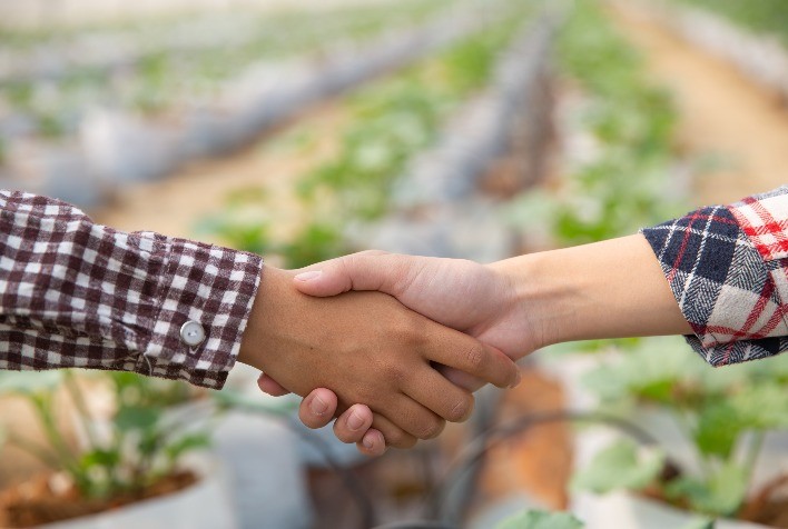 NovaAgri Revoluciona a Gestão de Pessoas com Tecnologia de Ponta