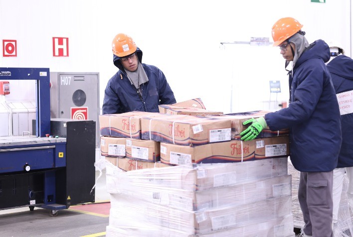 Exportações de Carne Bovina do Brasil Registram Recorde em Agosto de 2024