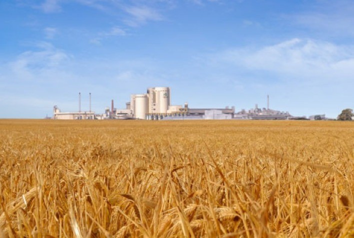 Guarapuava Se Torna a Capital Nacional da Cevada e do Malte