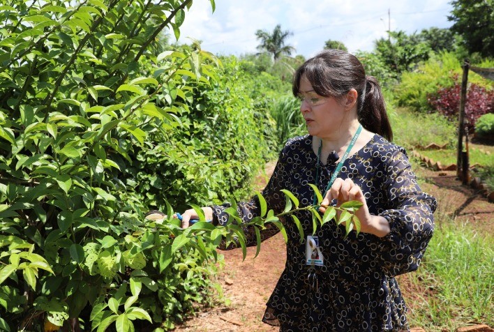 Governo de Goiás Abre Processo Seletivo para 25 Vagas Temporárias na Emater
