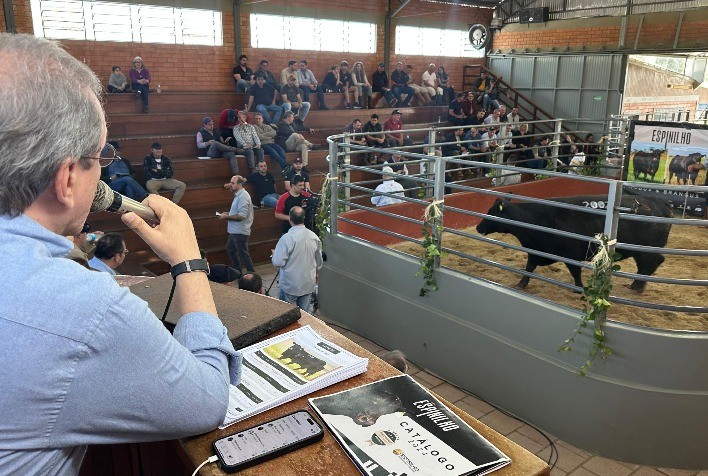Venda Rápida de Angus e Brangus: Sucesso da Estância do Espinilho