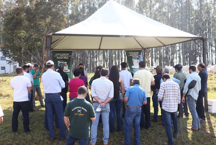 Fazenda Cachoeira e Vetoquinol promovem Dia de Campo para aprimorar saúde animal na pecuária