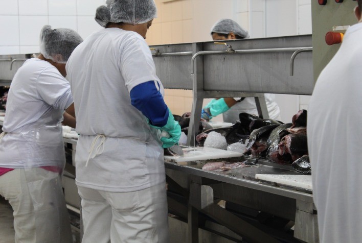 São Paulo Amplia Acesso ao Mercado Nacional com Novo Consórcio de Inspeção