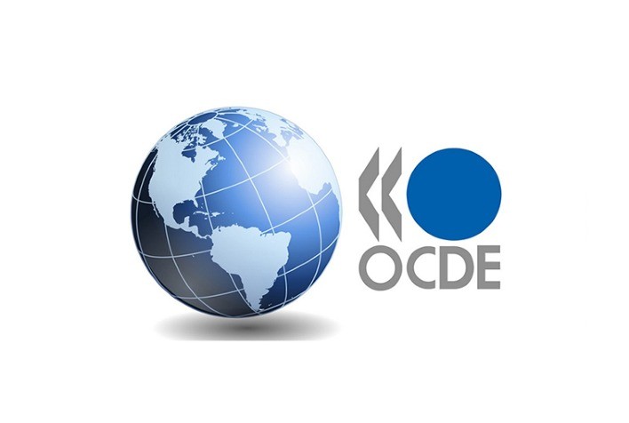 Taxa de Desemprego da OCDE Estável em 5% em Julho de 2024