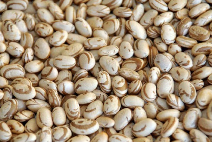 Ibrafe: Oferta de R$ 250 para Feijão-Carioca Não Atrai Produtores