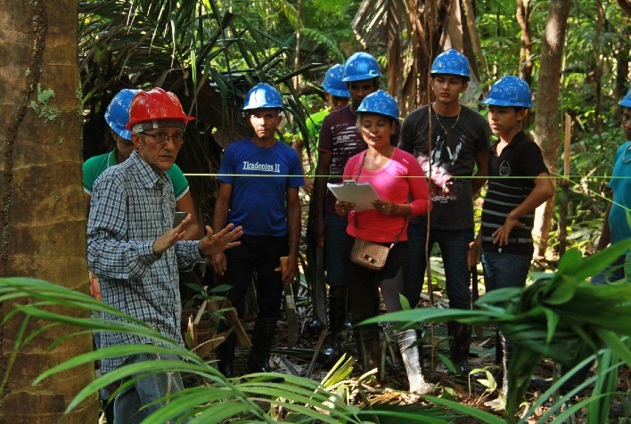 Manejo Sustentável do Açaí Impulsiona Comunidades no Marajó