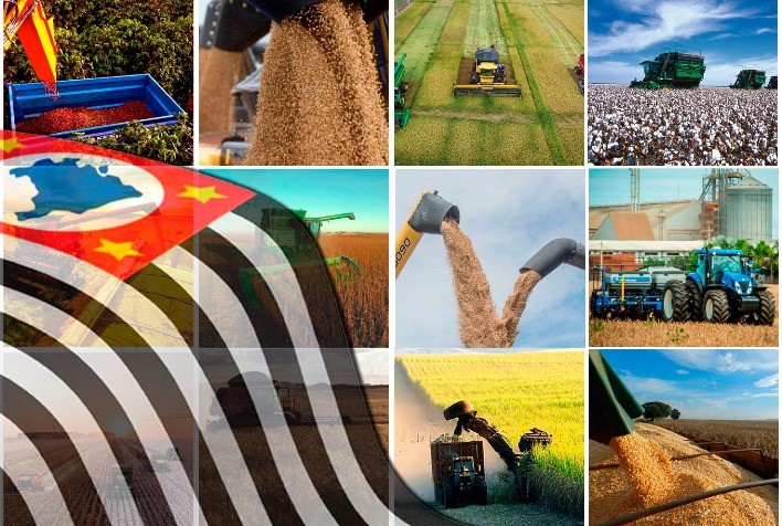 Superávit do Agronegócio Paulista Cresce 9,25% em Oito Meses