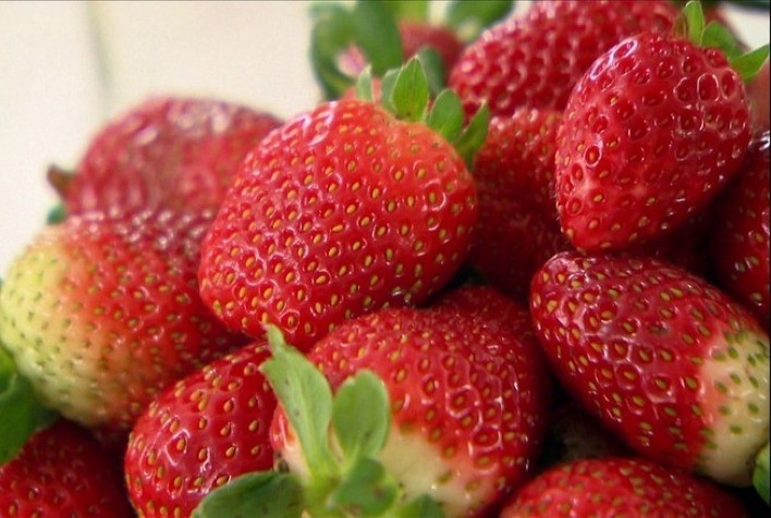 Produção de Morango no Rio Grande do Sul: Variação de Preços e Impactos Climáticos