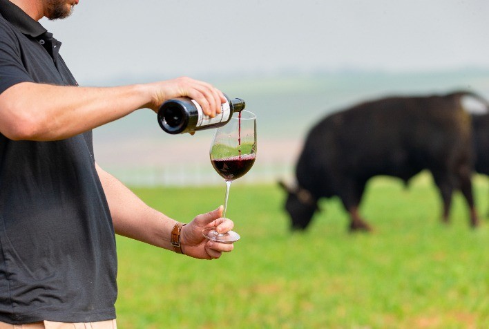 Leilão Parceria Genética de La Coxilha e Sossego Destaca Qualidade e Rusticidade