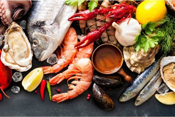 Seafood Show Latin America 2024: Um Encontro Imperdível para Chefs e Profissionais do Setor de Frutos do Mar