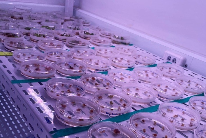 WIN Celebra Um Ano de Inovação e Avanços na Biotecnologia