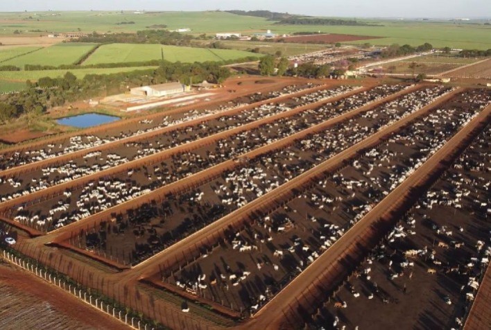 Biogénesis Bagó Destaca Avanços em Sanidade e Nutrição Animal no Feedlot Summit Brazil 2024