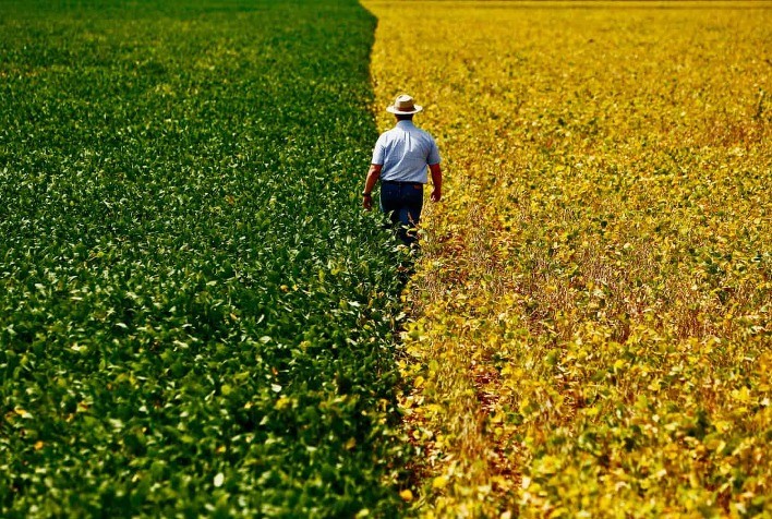 5 Práticas Sustentáveis que Revolucionam o Agronegócio Brasileiro