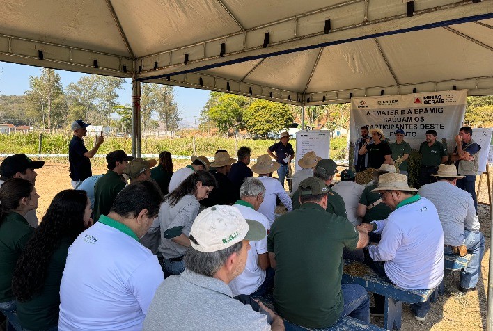 Capacitação de técnicos da Emater-MG em ensilagem de trigo reforça alternativas para alimentação de bovinos
