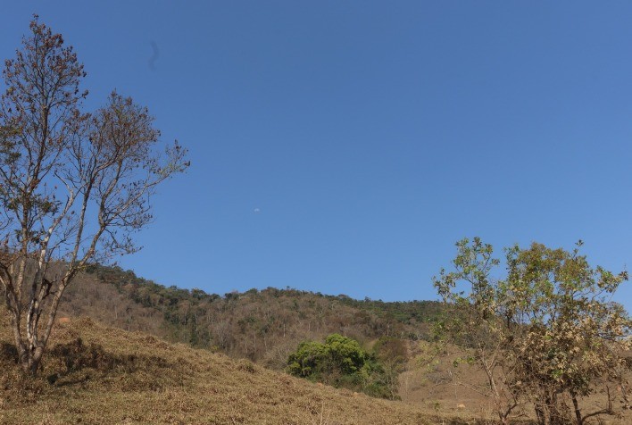 Inverno atípico e seca intensa ameaçam produção agrícola em Minas Gerais
