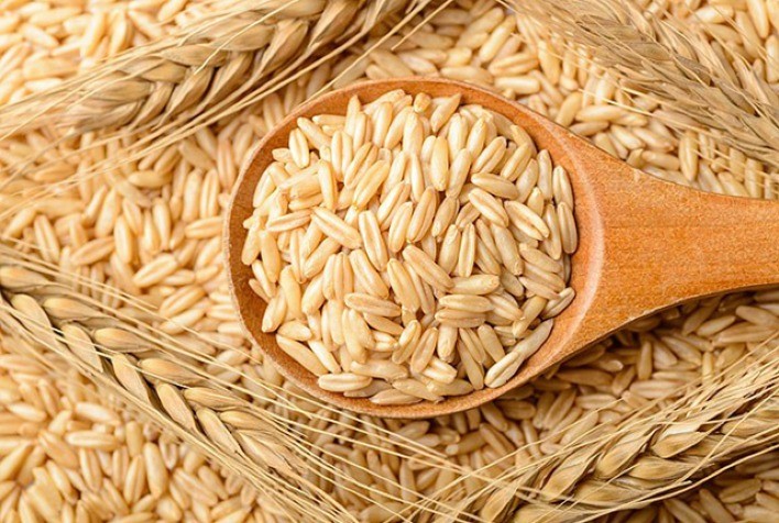 Mercado de trigo apresenta oscilações, mas mantém tendência de alta