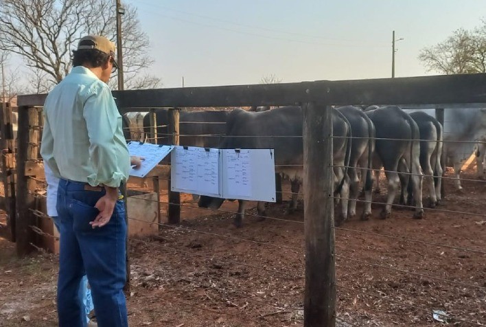 ExpoLeite 2024: Feiras Pró-Genética e Pró-Fêmeas Facilitam Acesso à Genética Superior