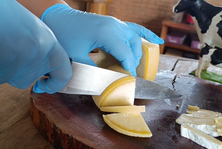 Queijaria Coqueiral: Primeira de Goiás a conquistar o Selo Arte está em Corumbá