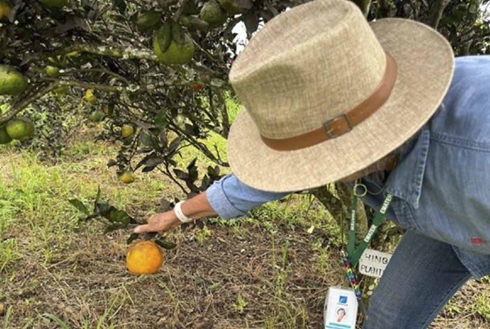 Emater Goiás e Fapeg lançam edital para pesquisas inovadoras na agricultura familiar