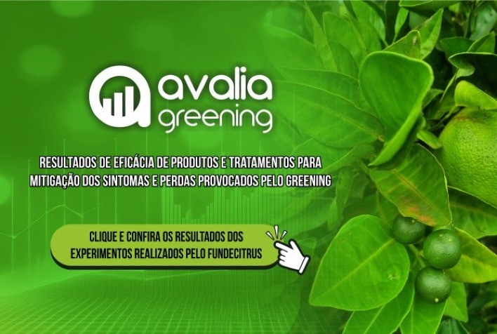 Avalia Greening: Nova Ferramenta do Fundecitrus no Combate ao Greening
