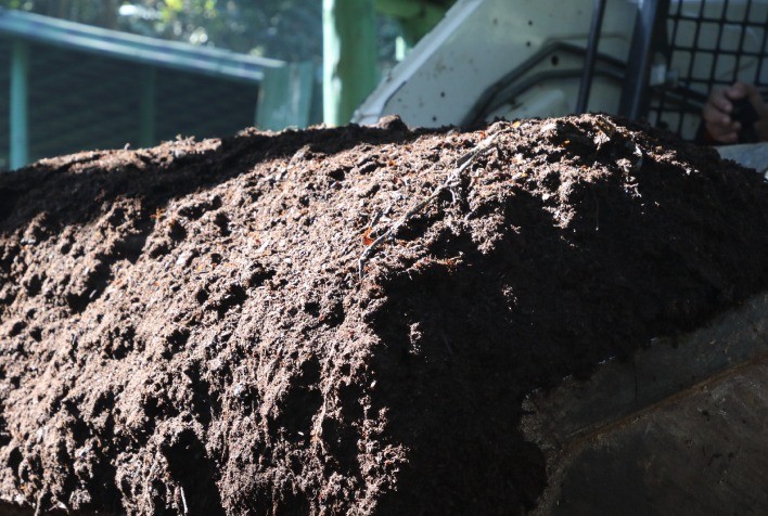 Núcleo de Compostagem em São Paulo Converte Resíduos Orgânicos em Tecnologia Sustentável