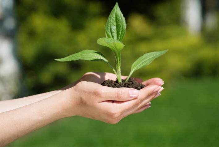 Agricultura Regenerativa e Biológicos: O Protagonismo do Brasil na Produção Sustentável de Alimentos
