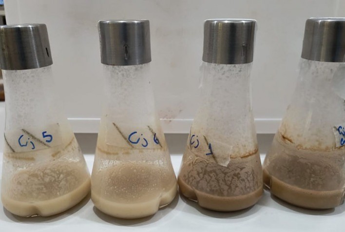 Pesquisa Facilita Produção de Biopesticida com Uso Sustentável de Subprodutos