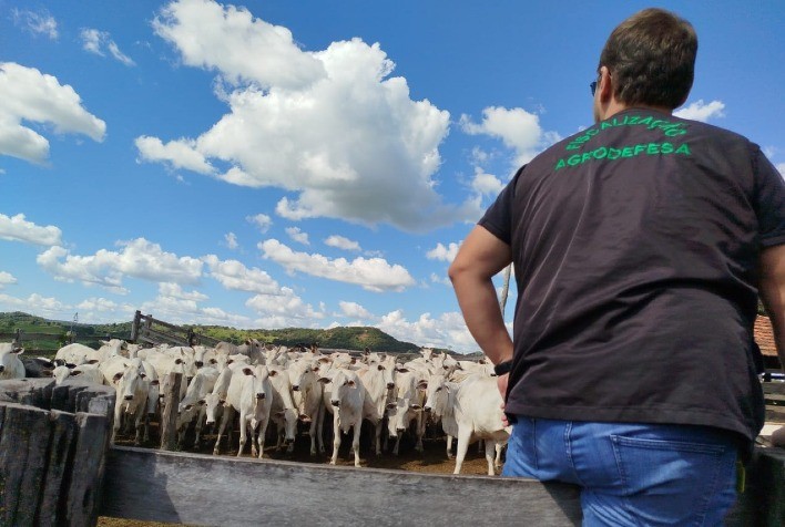 Segurança Sanitária e Produção Pecuária em Goiás: Destaques Nacionais