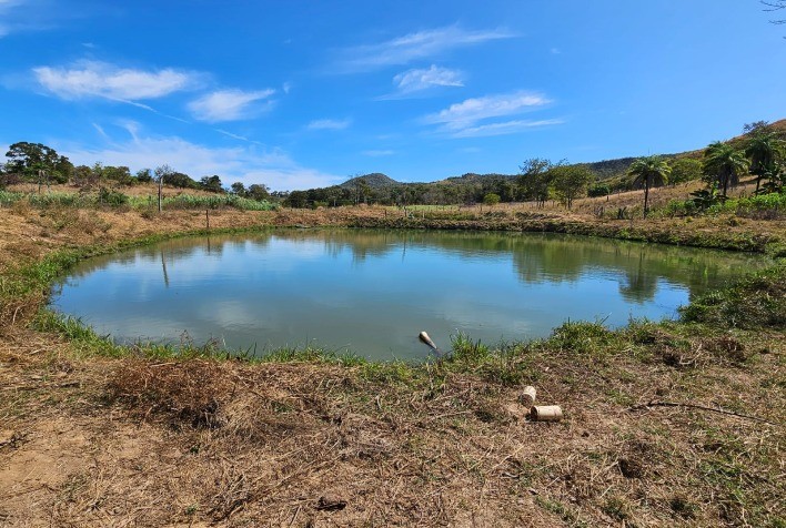 Embrapa Valida Tecnologias em Nutrição de Tambaquis para Piscicultura Familiar no Tocantins