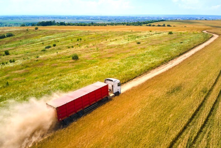 Queda no preço do frete persiste em regiões produtoras, apesar do aumento nas exportações de milho