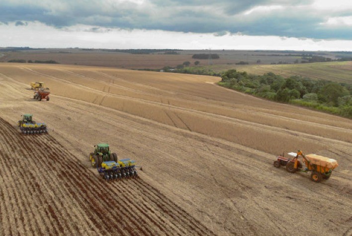 Avanço do Plantio de Soja no Paraná Chega a 10% da Área Prevista para 2024/25